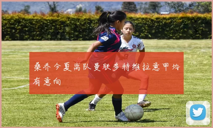 桑乔今夏离队曼联多特维拉意甲均有意向